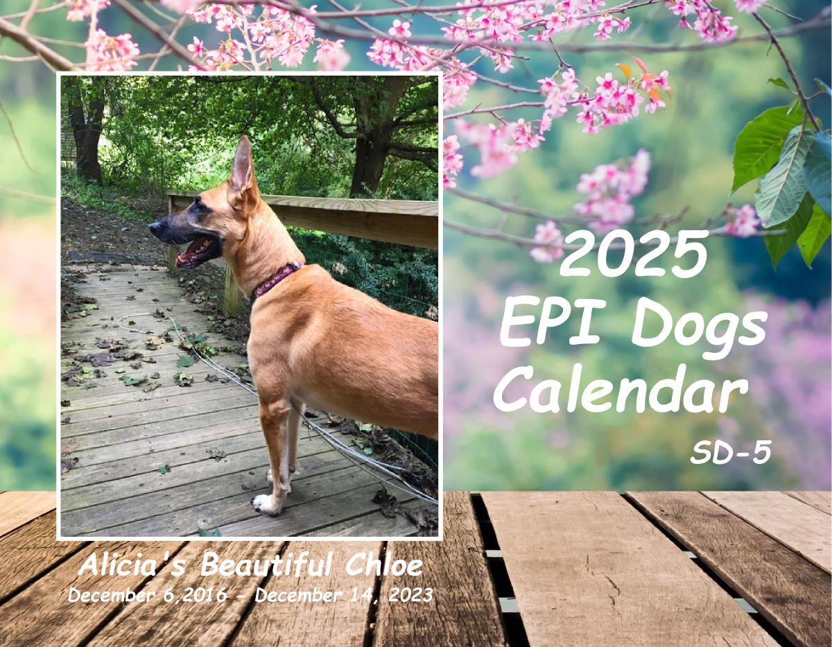 Epi4Dogs 2025 Cal #SD5