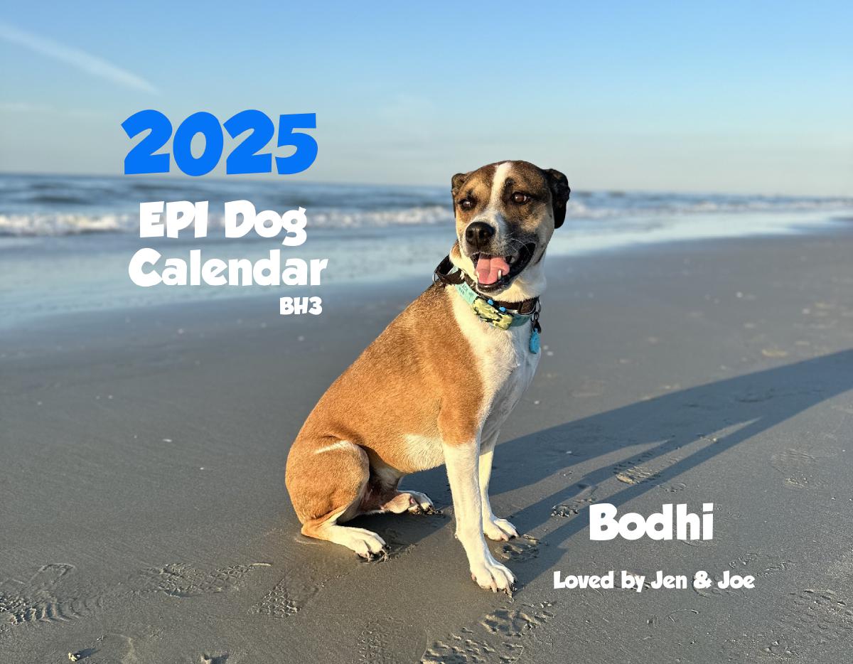 Epi4Dogs 2025 BH3