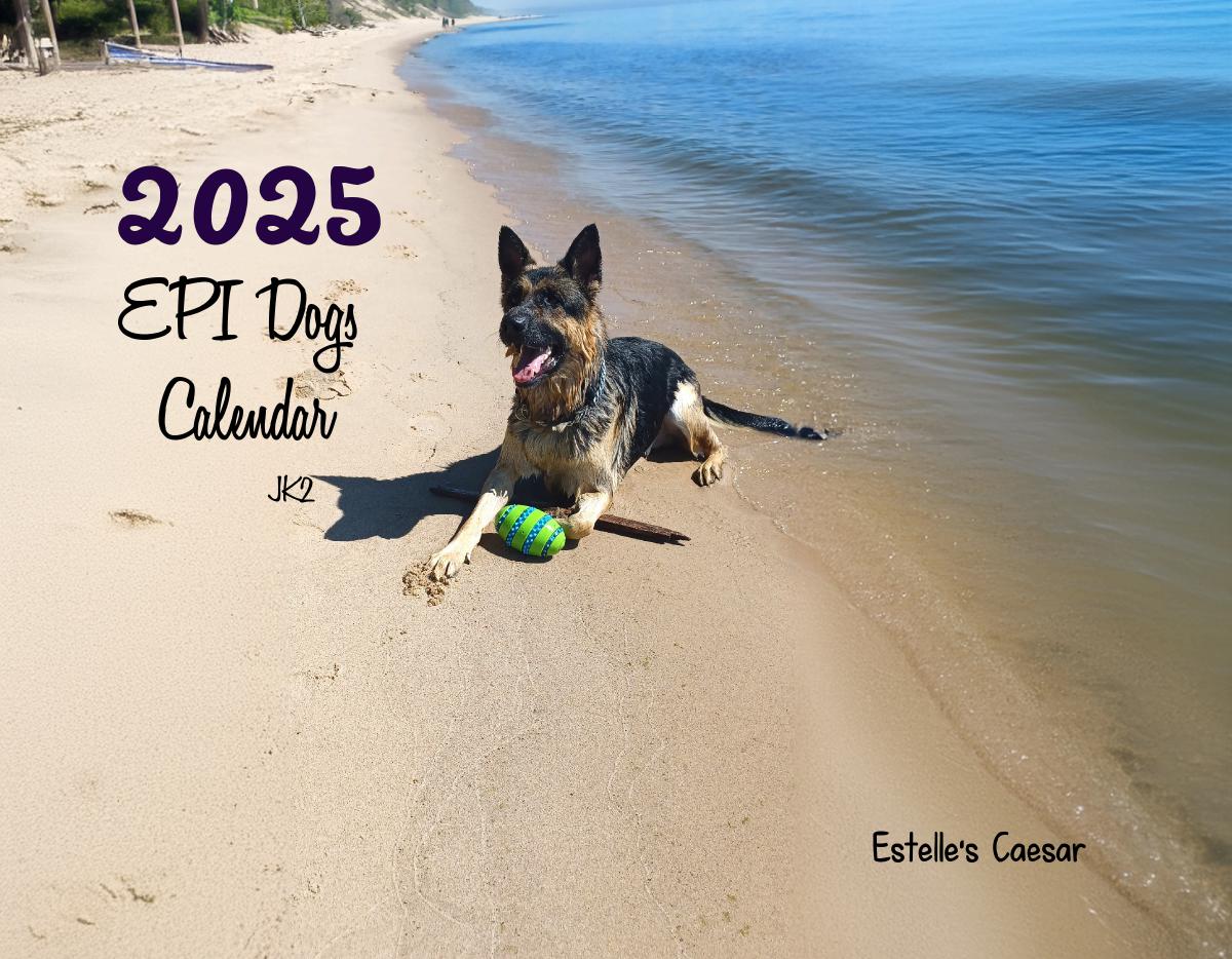 Epi4Dogs 2025 Cal #JK2