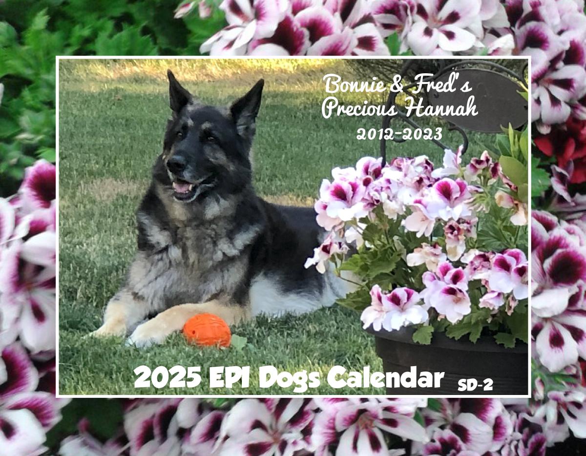 Epi4Dogs 2025 Cal #SD2