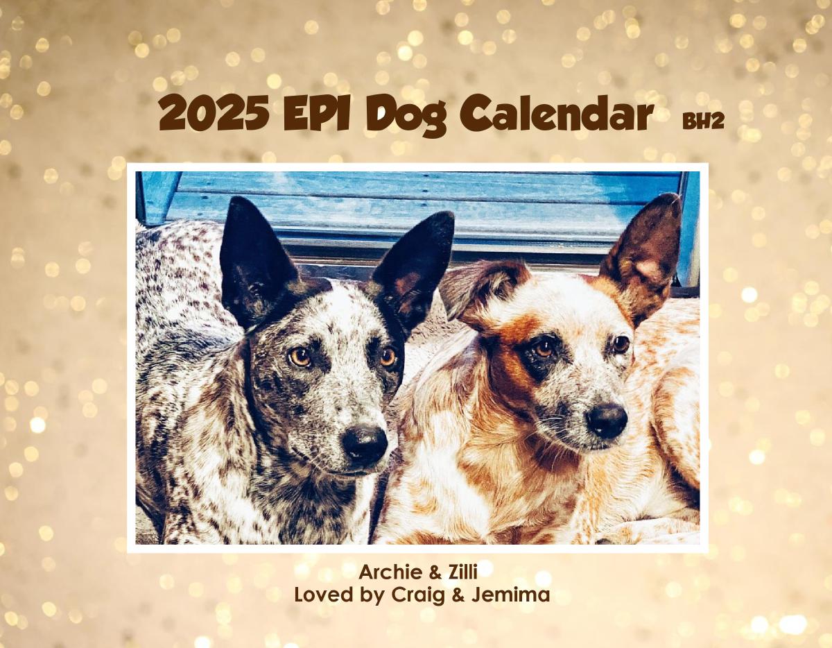 Epi4Dogs 2025 Cal #BH2