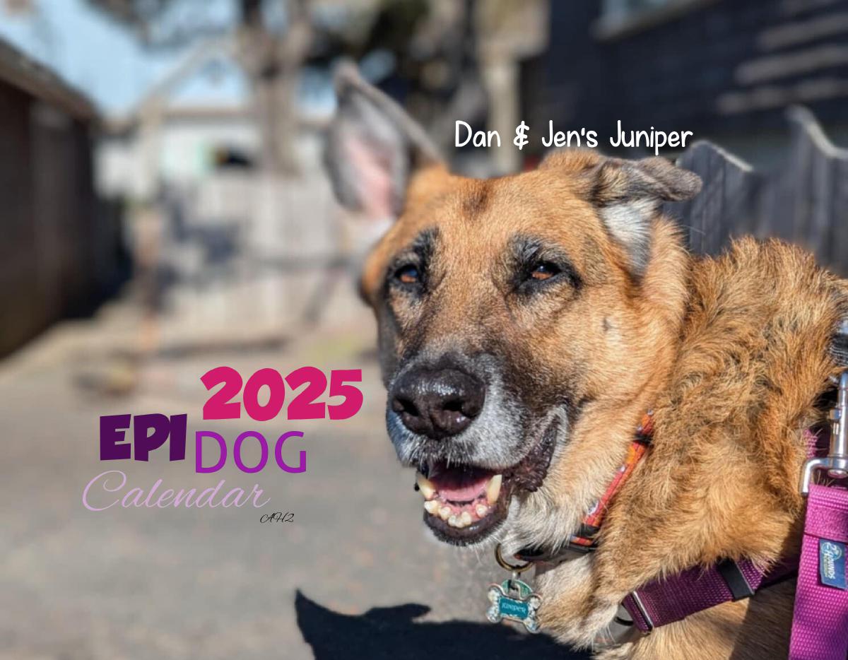 Epi4Dogs 2025 Cal #AH2