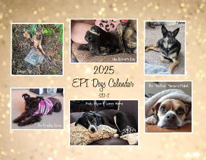 Epi4Dogs 2025 Cal #SD4