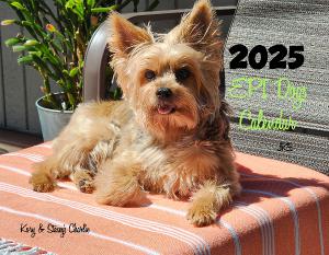 Epi4Dogs 2025 Cal #JK5