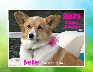 Epi4Dogs 2025 Cal #BH4