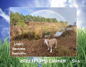 Epi4Dogs 2025 Cal #SD3