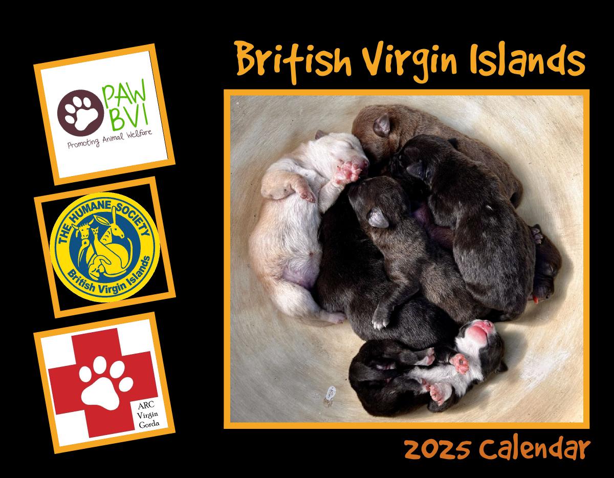 BVI 2025 Fundraising Calendar