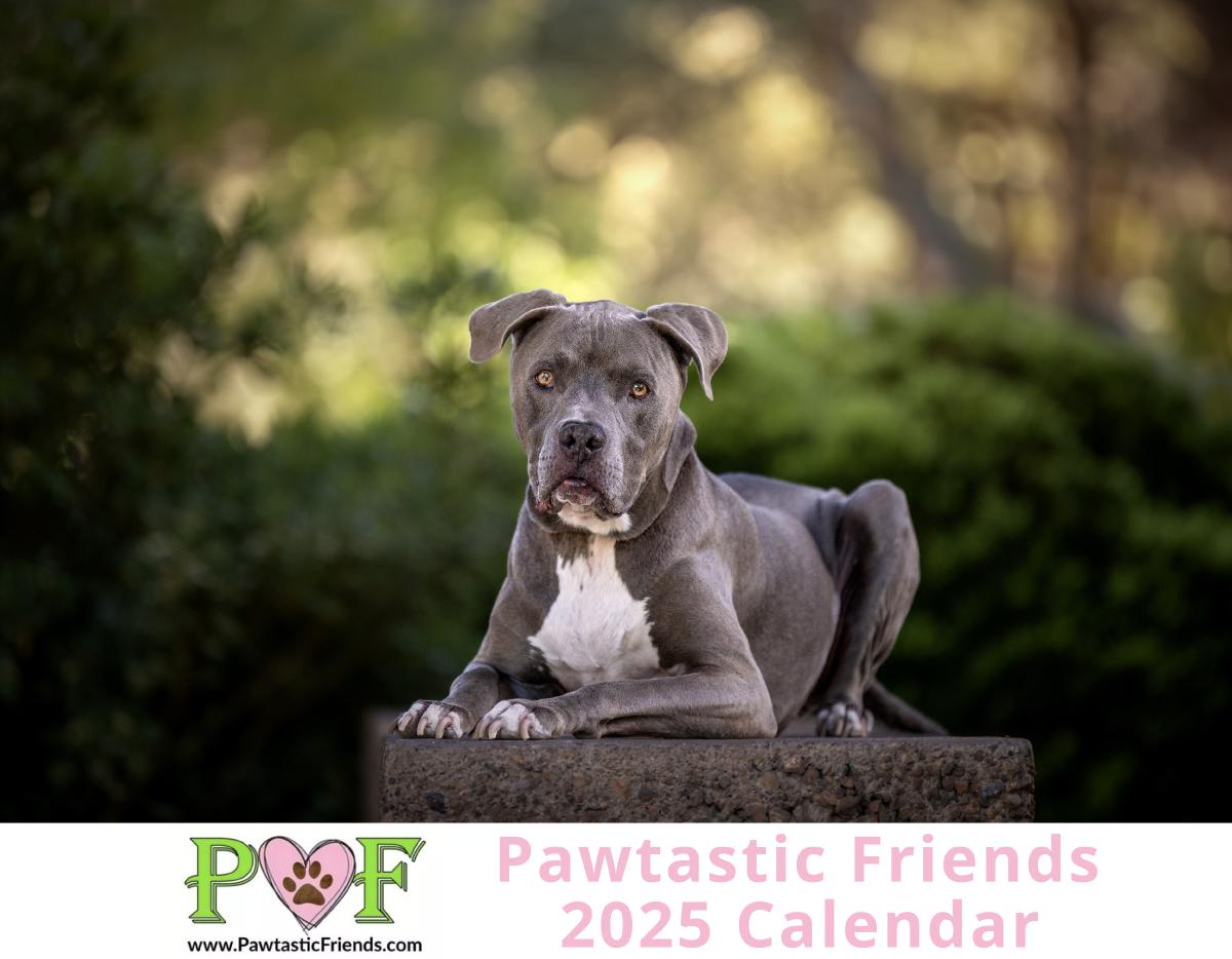 2025 Pawtastic Friends Calendar