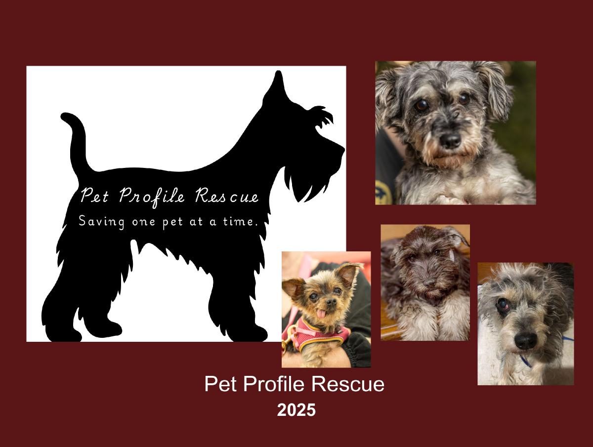 Pet Profile Rescue 2025 Monthly Calendar