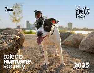 2025 Toledo Humane Society Calendar