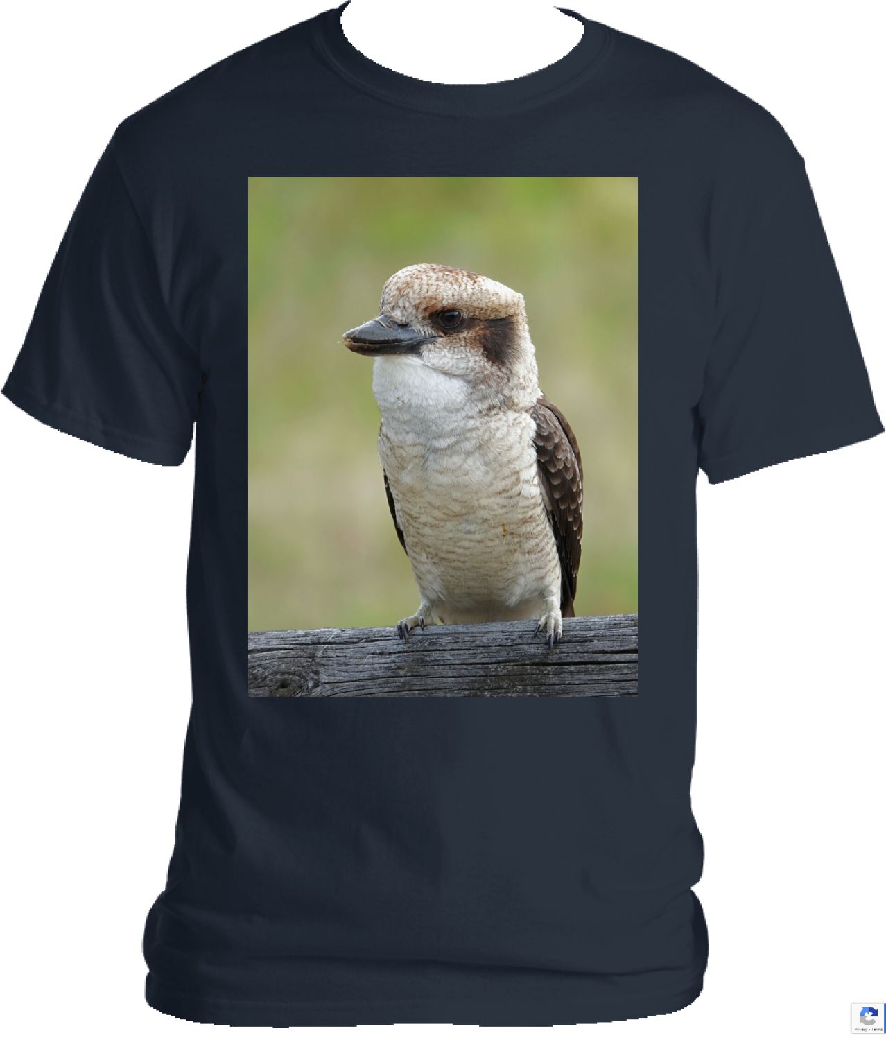 Kookaburra