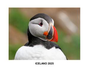 ICELAND 2025