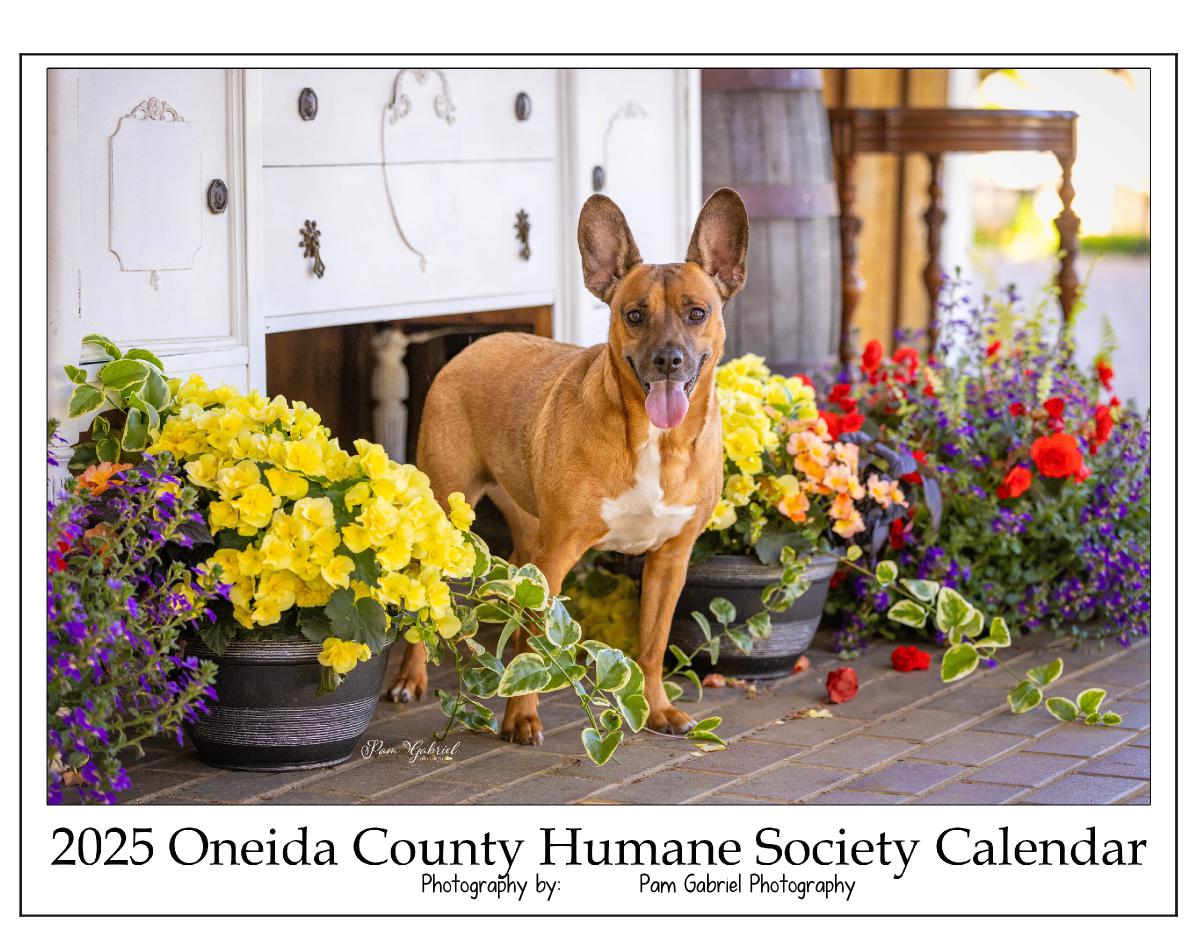 2025 Oneida County Humane Society Calendar