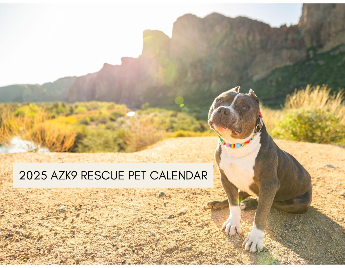 2025 AZK9 Rescue Calendar