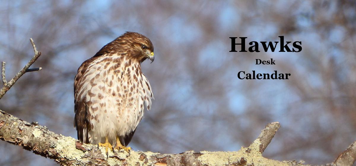 Hawks Desk Calendar