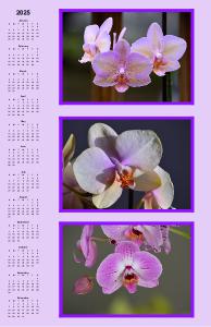 Orchids Poster Calendar