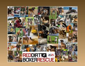 2025 RED DIRT BOXER RESCUE CALENDAR