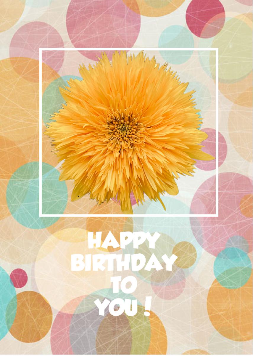 Happy Birthday Sunflower