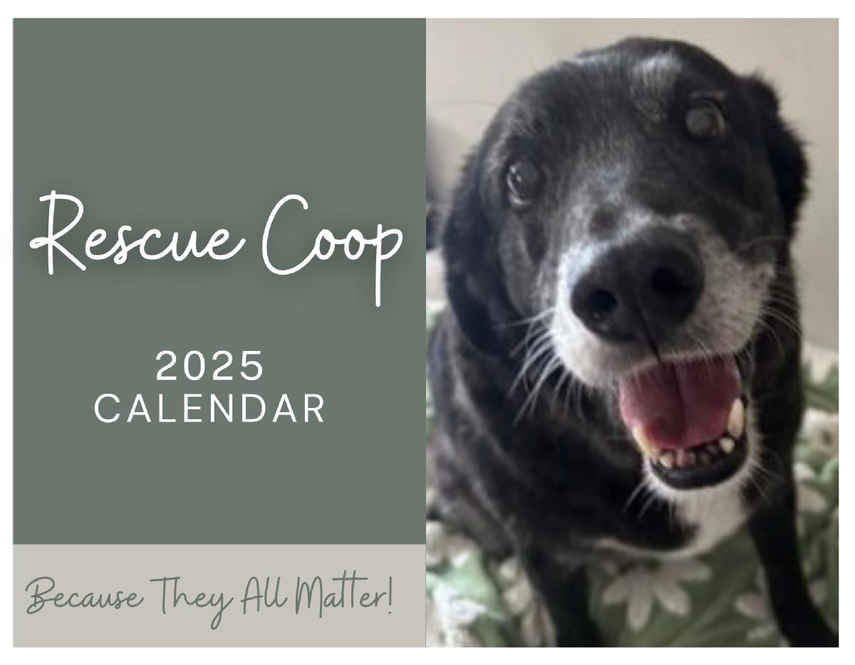 2025 Rescue Coop Calendar