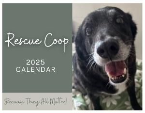 Rescue Coop 2025 Calendar