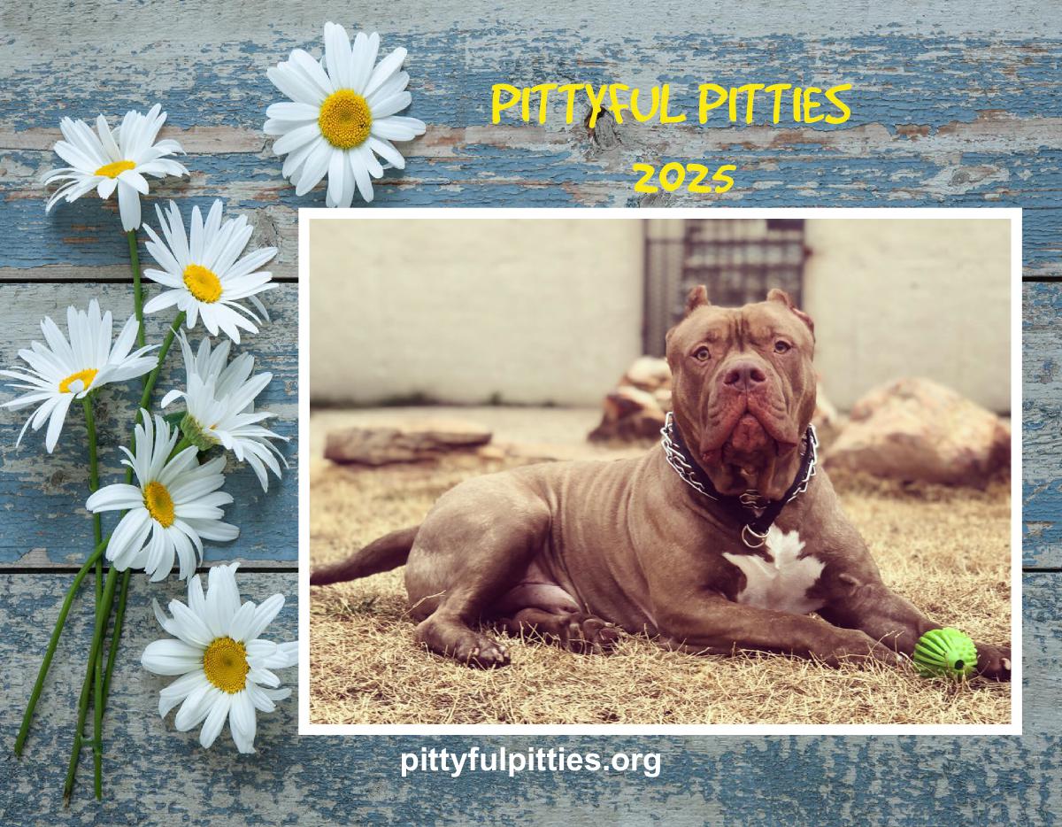 Pittyful Pitties Dog Rescue Calandar Fundraiser