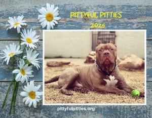 Pittyful Pitties Dog Rescue Calandar Fundraiser