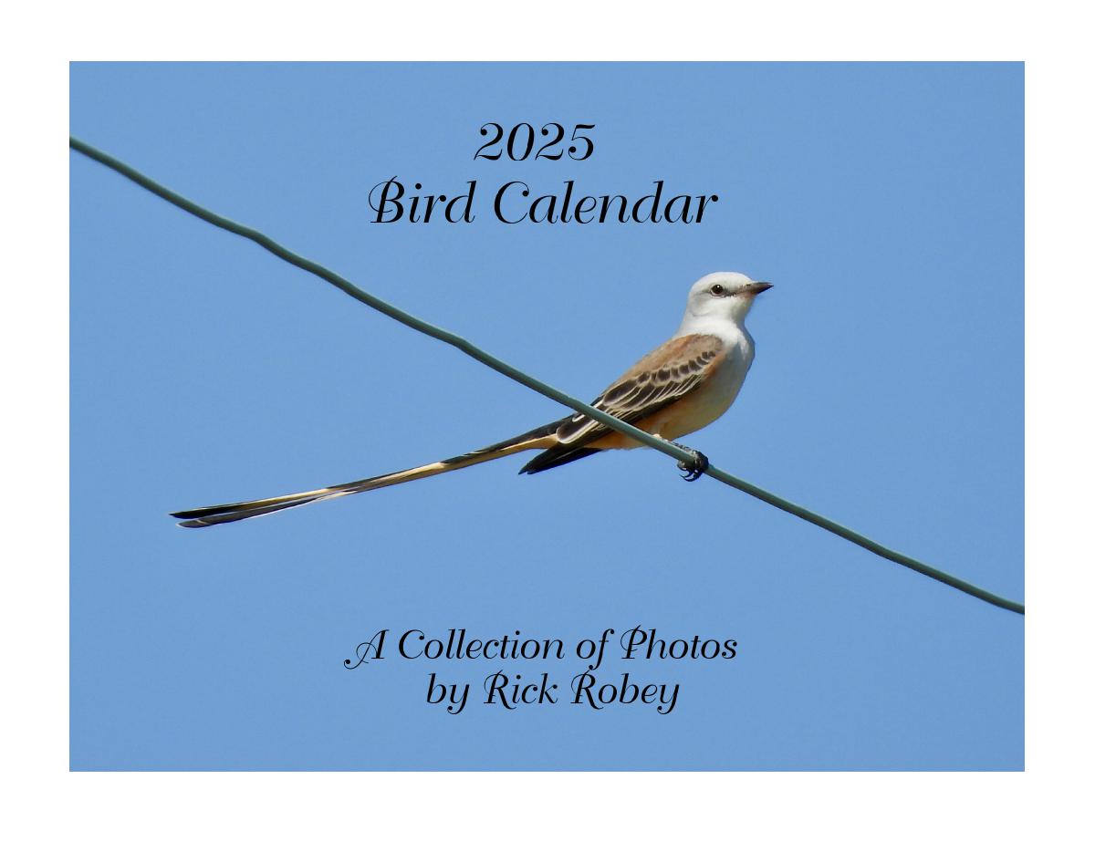 2025 Bird Calendar