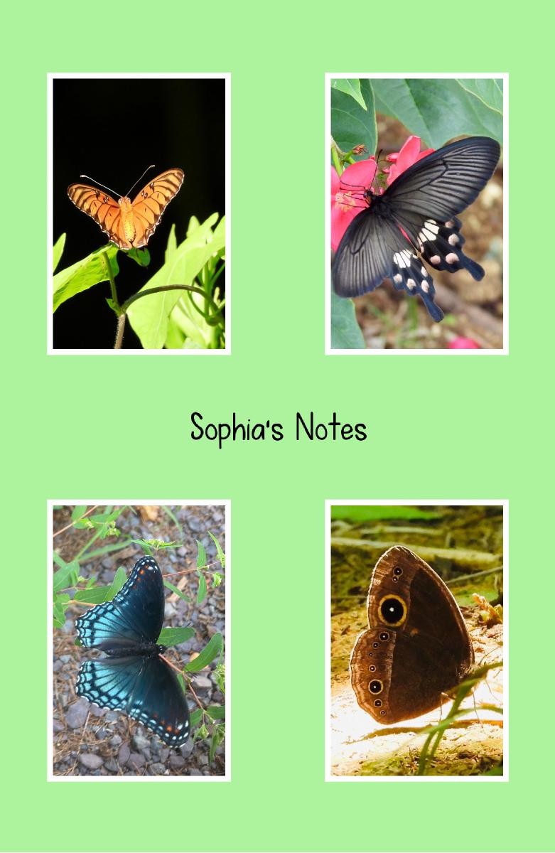 Butterflies Personalized Spiral Notebook