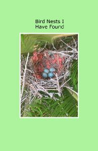 Bird Nests I Have Found