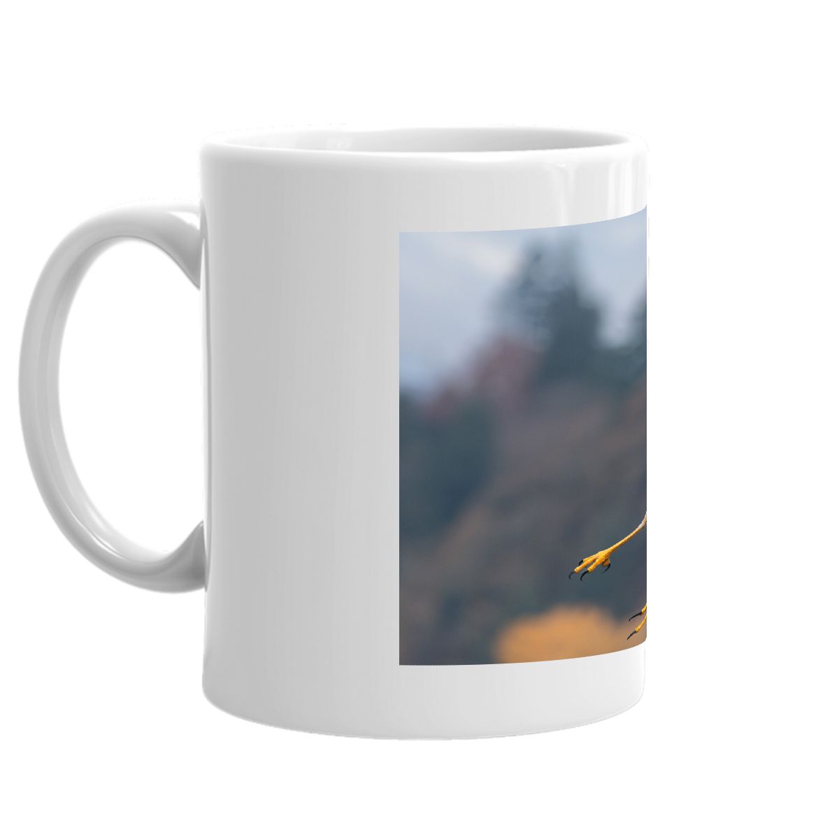 Harrier (adult category) 2024 mug