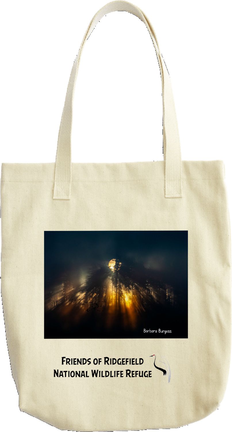 Sun & Smoke 2024 tote bag