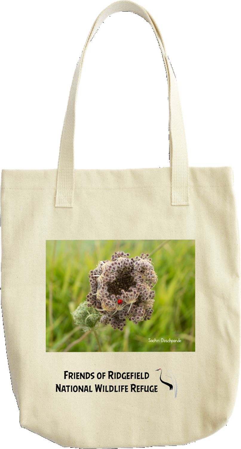 Queen Anne’s Lace (seeds) & Ladybug tote bag