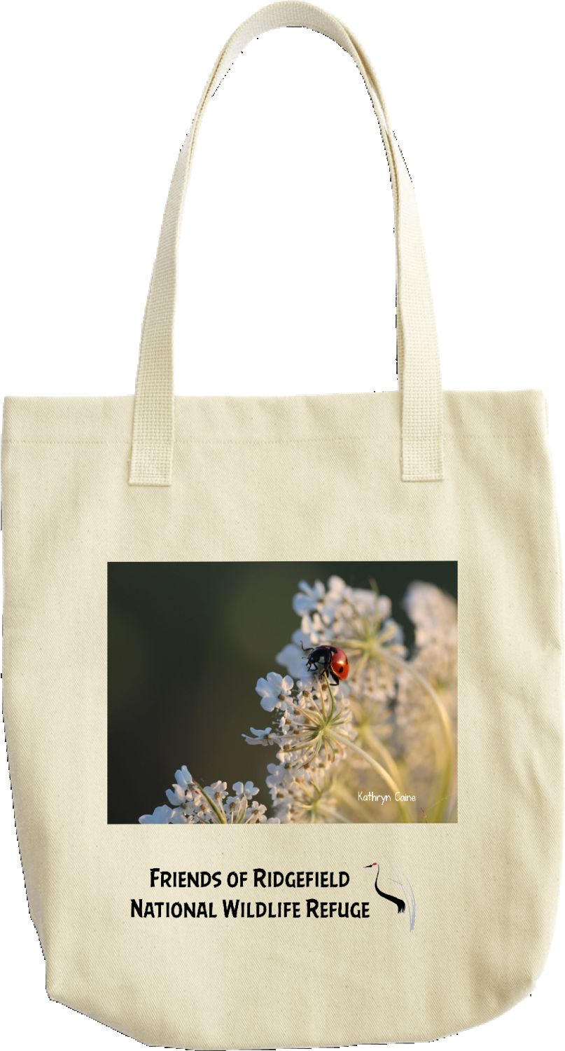 Queen Anne’s Lace & Ladybug tote bag