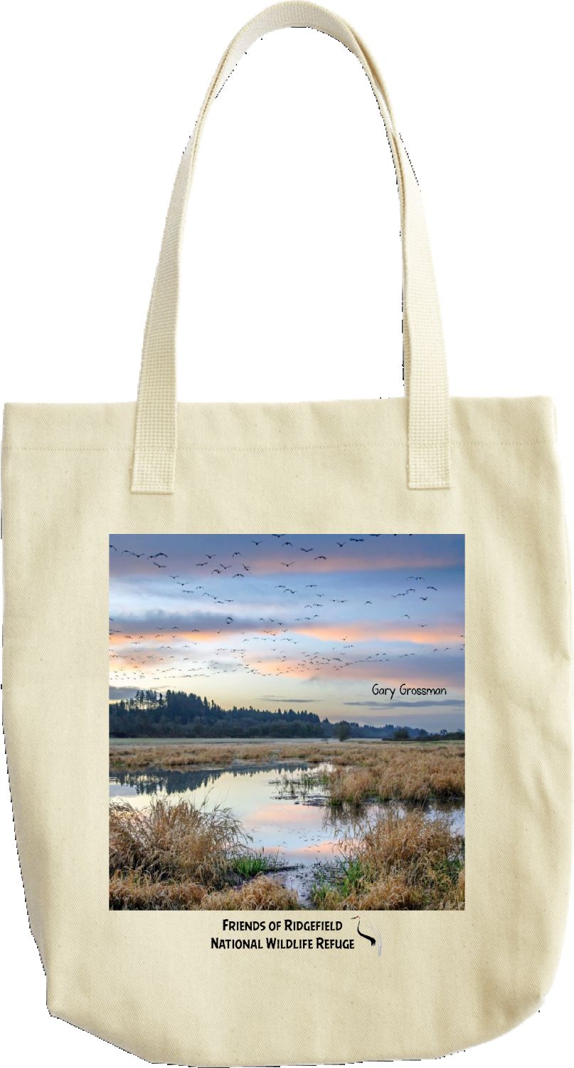 2020 Flock at Sunrise tote