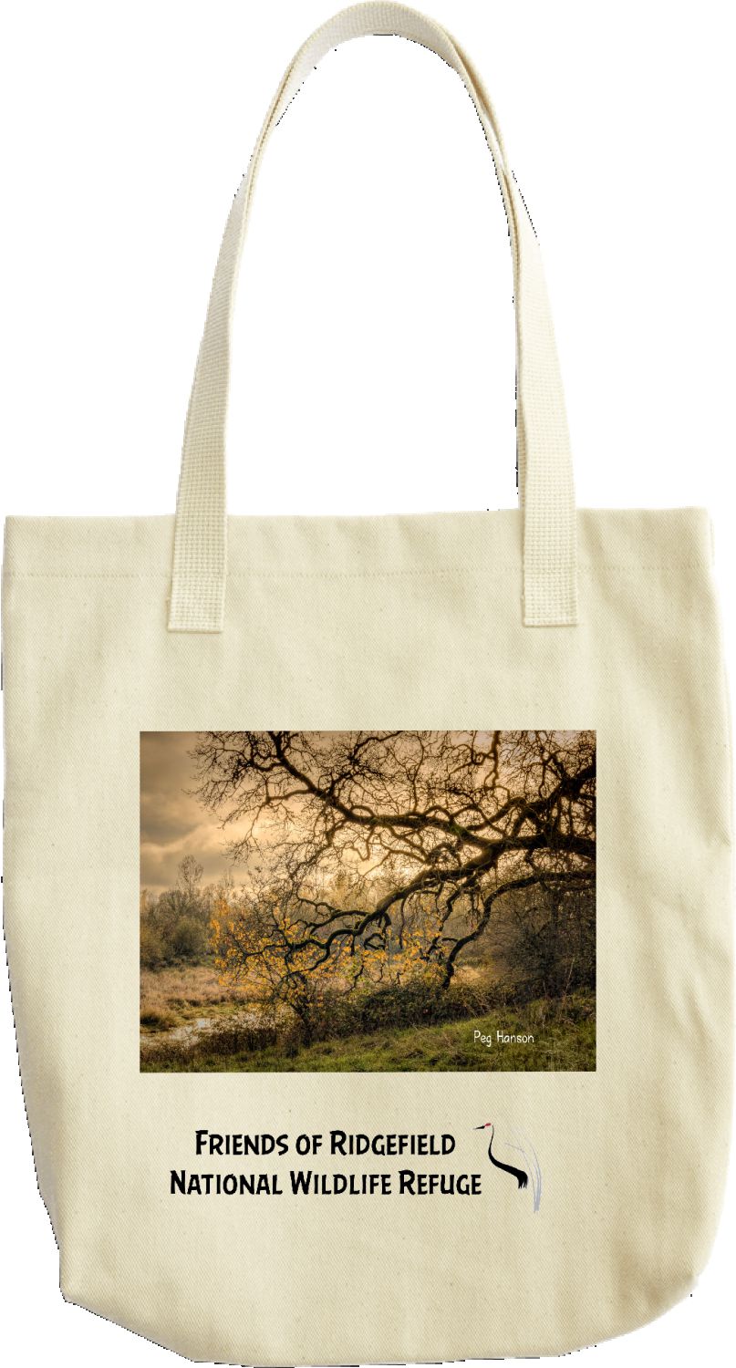 Sunset Oak 2024 tote bag