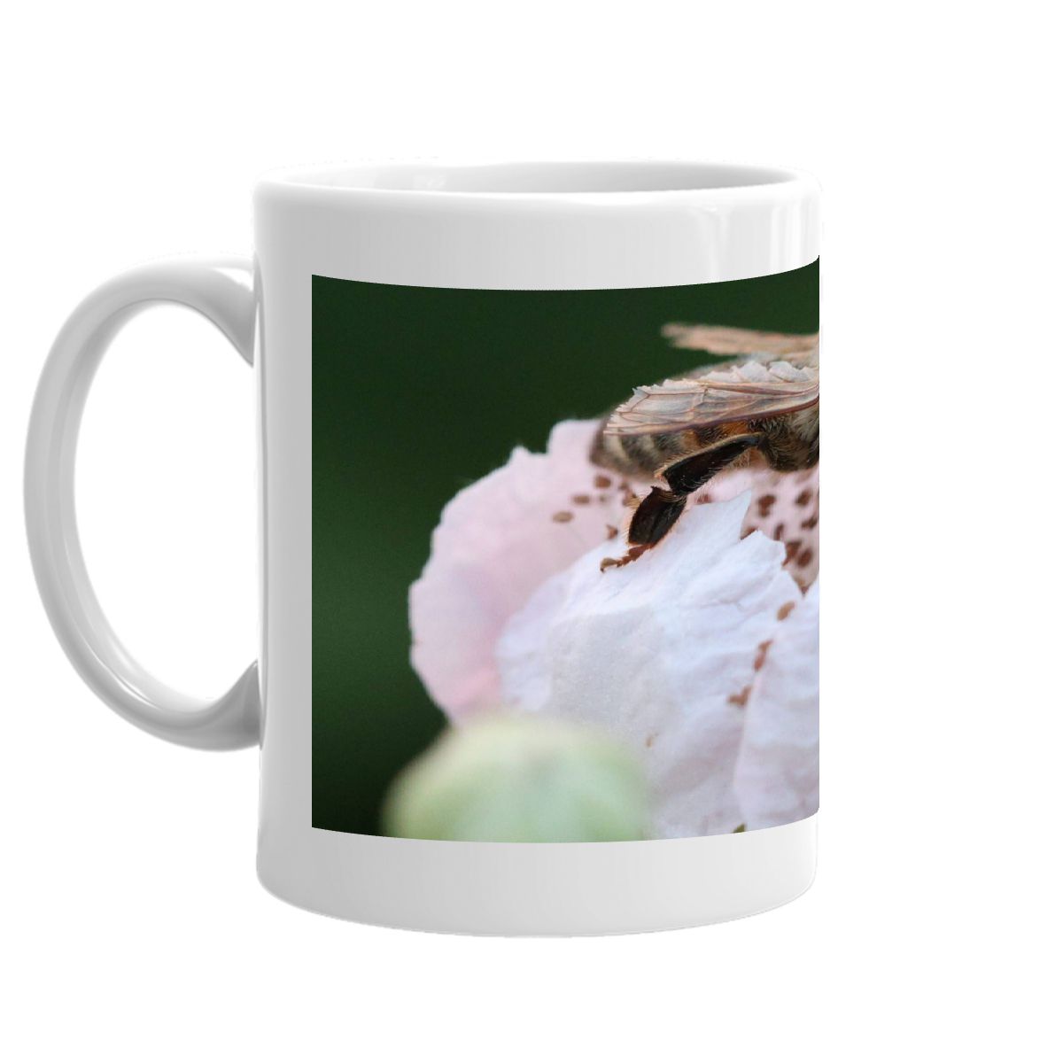 Bee & Blackberry 2024 mug