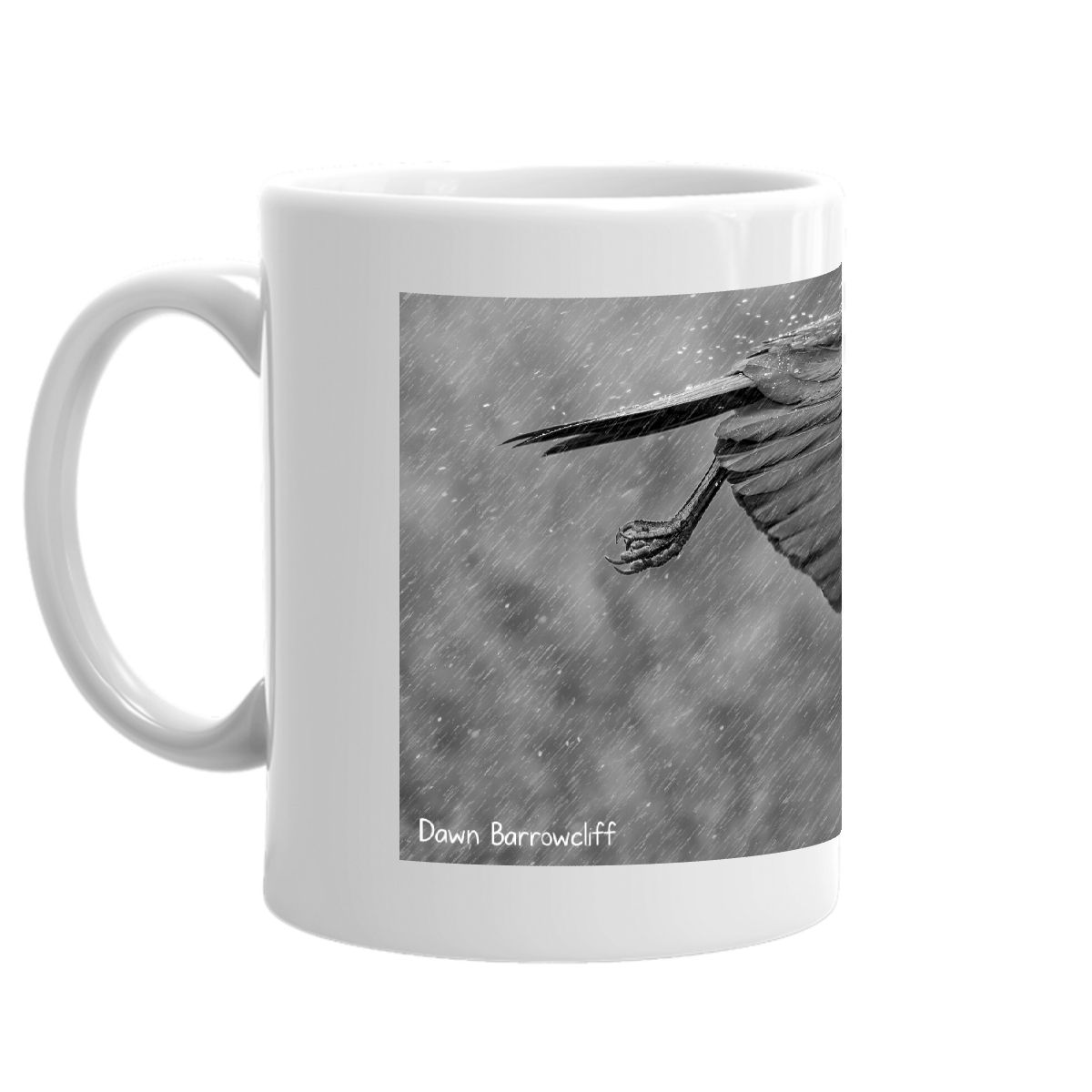 American Crow 2025 mug