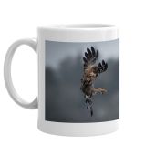 Harrier & Owl 2024 mug