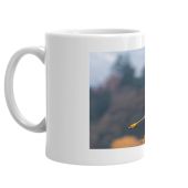 Harrier (adult category) 2024 mug