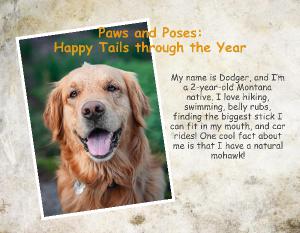 Paws and Poses: Happy Tails through the Year