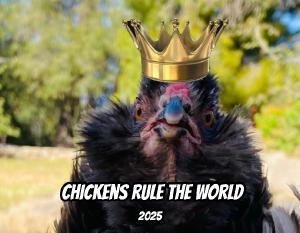 Chickens Rule the World 2025