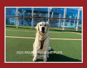 2025 Pawsome Pets Calendar