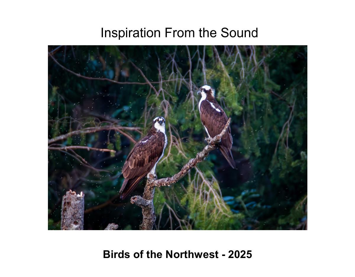 Birds of the Northwest - 2025