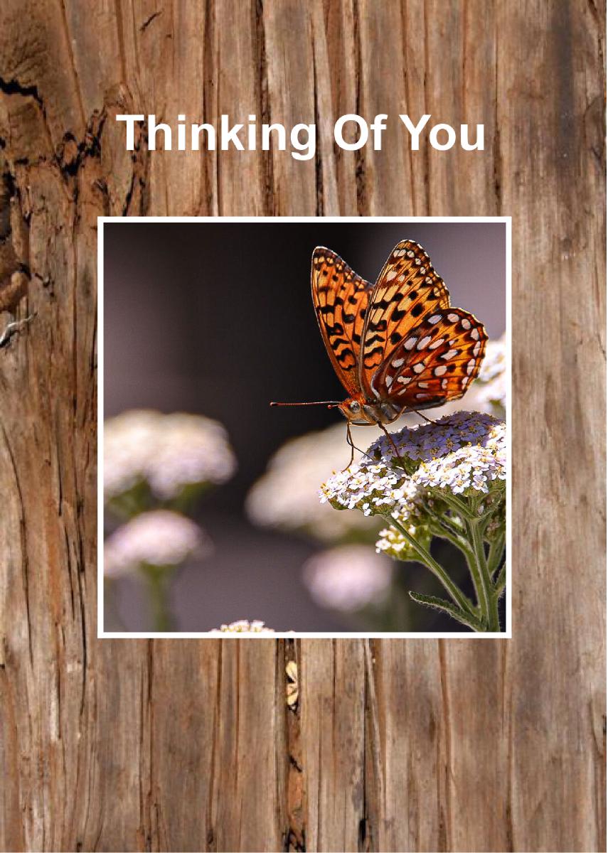 Thinking of You Card