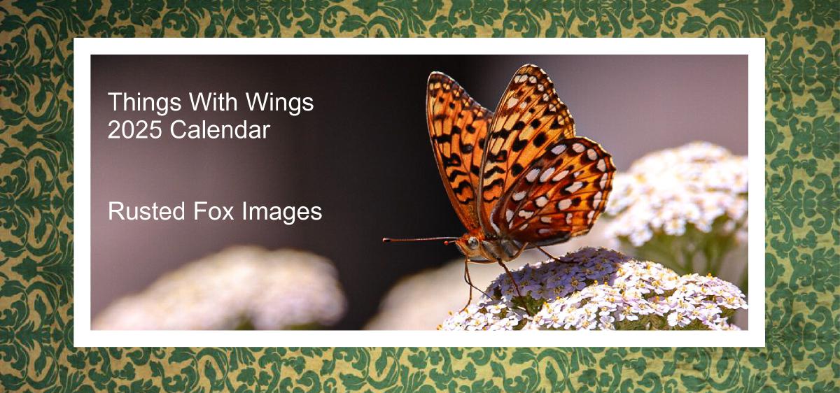 Things With Wings 2025 Desk Calendar