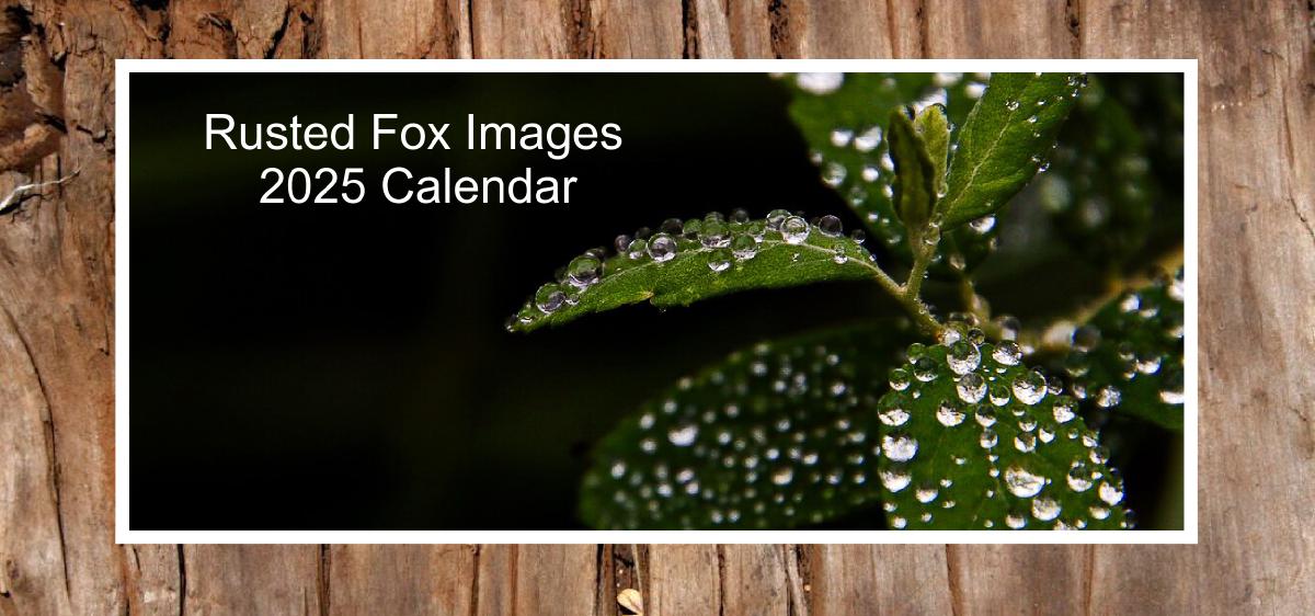 2025 Desk Calendar by Rusted Fox Images