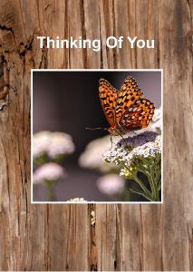 Thinking of You Card