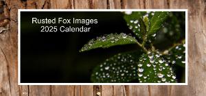 2025 Desk Calendar by Rusted Fox Images