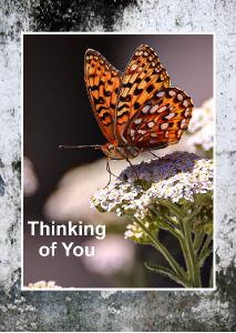 Thinking of You card