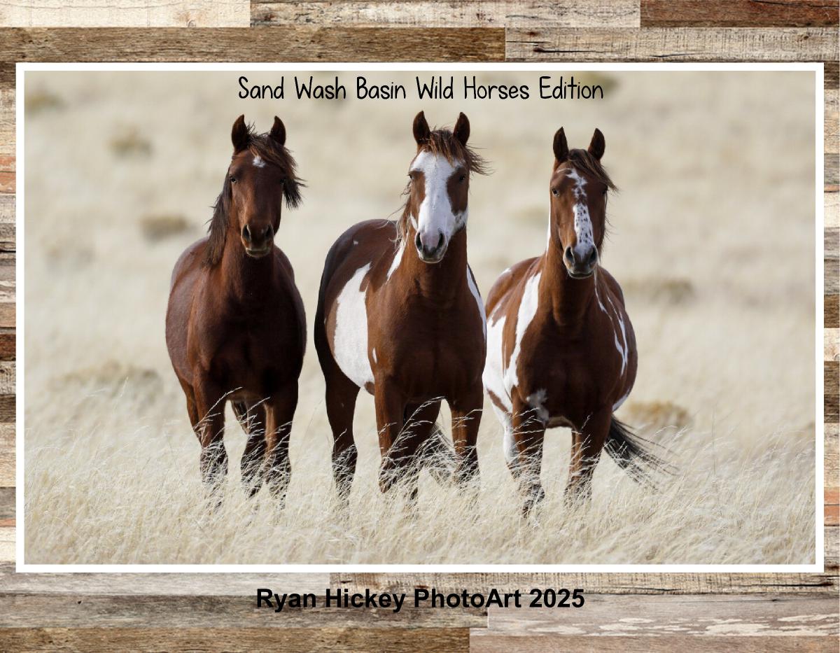 Ryan Hickey PhotoArt 2025 SWB Wild Horses Edition